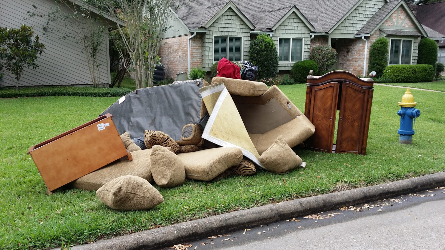 Backyard Clean Up